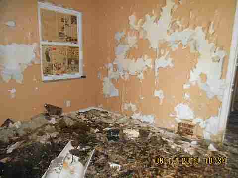 18961 Joann (8)_m.jpg